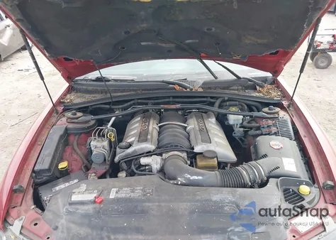 2006 Pontiac Gto z USA, uszkodzony, nr VIN 6G2VX12U66L560580